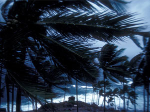 Arabian sea monsoon will reach Delhi first, Arabian sea monsoon will reach Delhi first,
