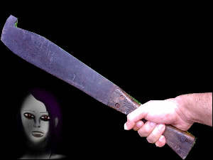 Man hacks wife, daughter to death in Nalanda Man hacks wife, daughter to death in Nalanda