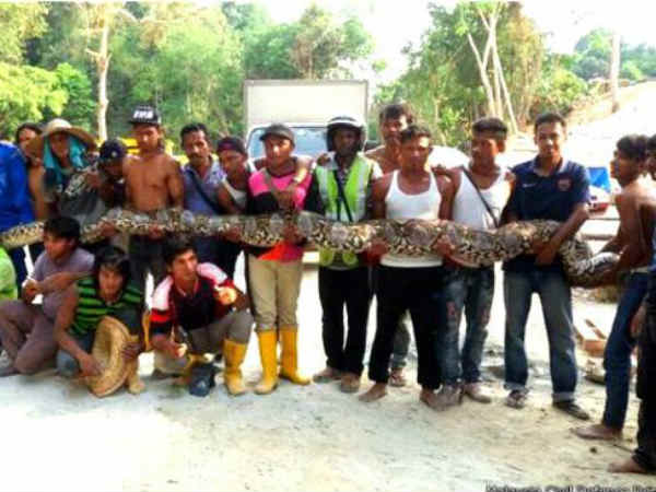  Longest 