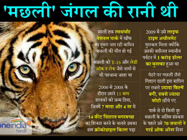 1997 में हुआ था जन्म