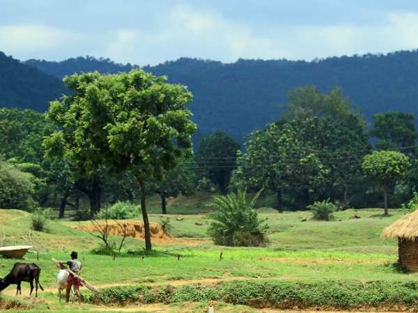 organic farming kedia2 organic farming kedia2