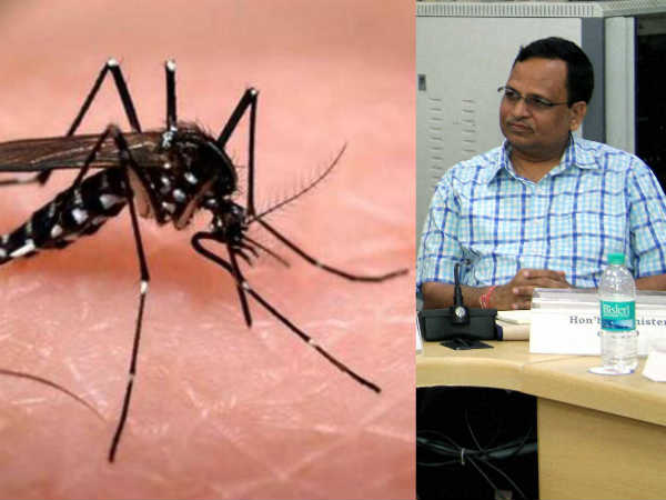 Delhi Health Minister terms dengue mosquito as royal mosquito Delhi Health Minister terms dengue mosquito as royal mosquito