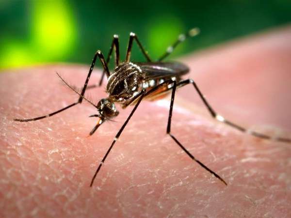 Runner returns sick from Rio, being tested for Zika Runner returns sick from Rio, being tested for Zika
