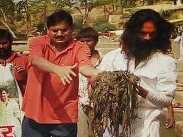 साफ हो गए खरपतवार