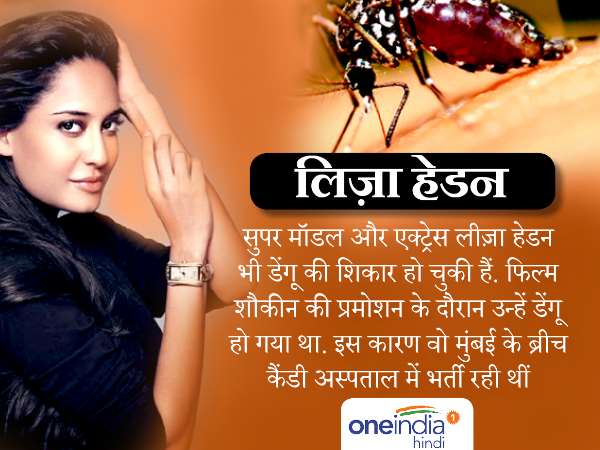 लीजा हेडन को भी हो चुका है डेंगू