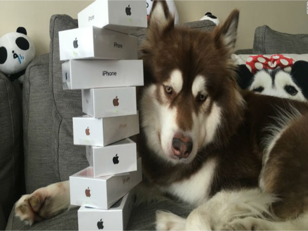 Son of China’s richest man buys eight iPhone 7s for his dog Son of China’s richest man buys eight iPhone 7s for his dog