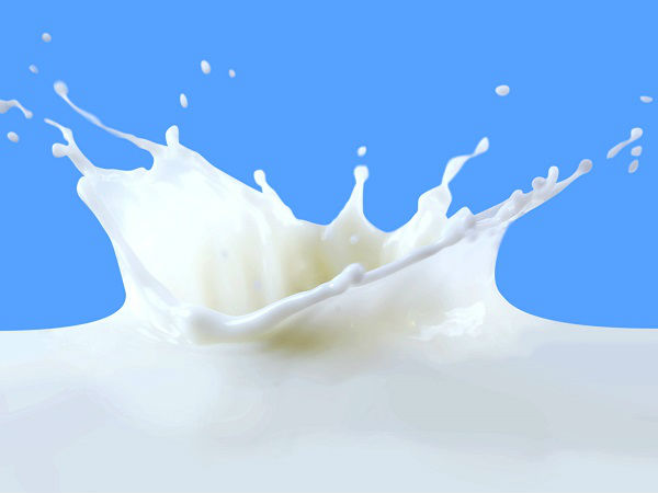 MILK MILK
