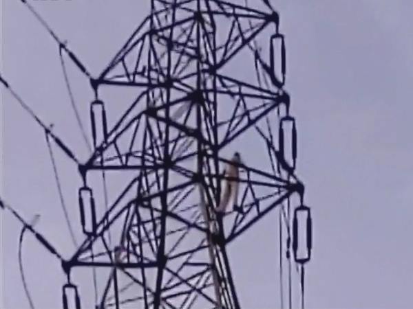 tower tower