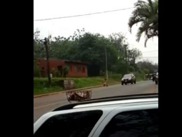 viral video viral video