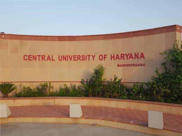 university university
