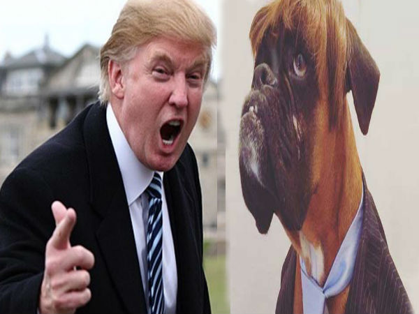 donald trump donald trump