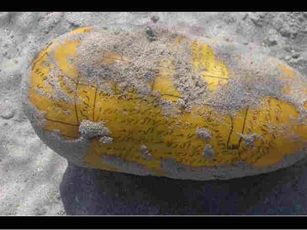 Strange Fruit Covered In Writing Strange Fruit Covered In Writing