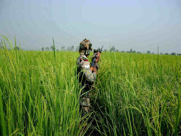 INDIA INDIA