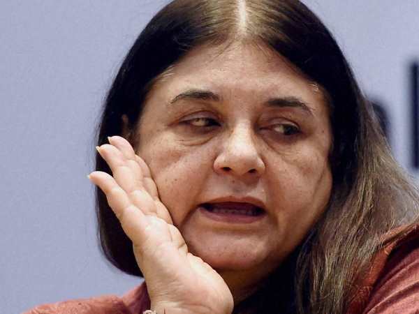 maneka gandhi maneka gandhi
