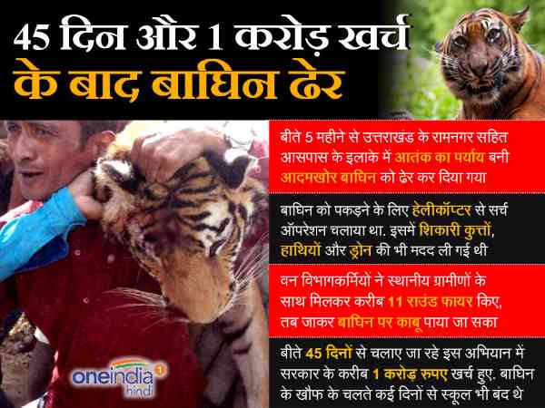Tigress Tigress