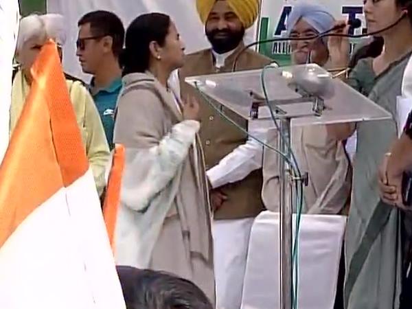 mamta mamta