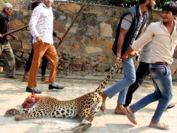 साढ़े तीन घंटे तक चला यह तमाशा