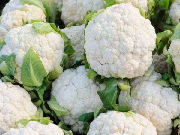 cauliflower cauliflower
