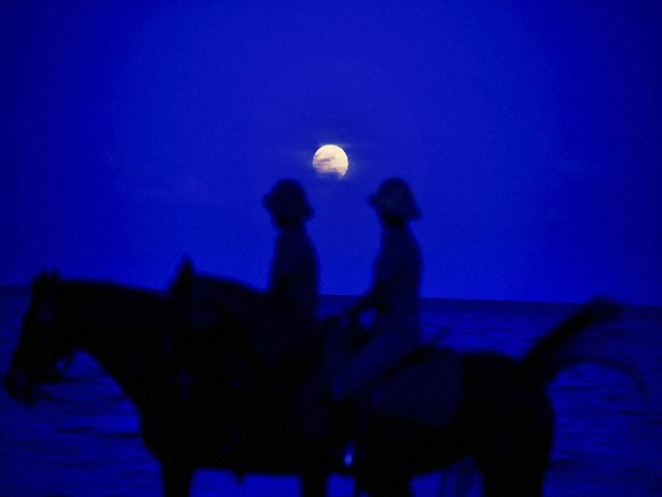 moon moon