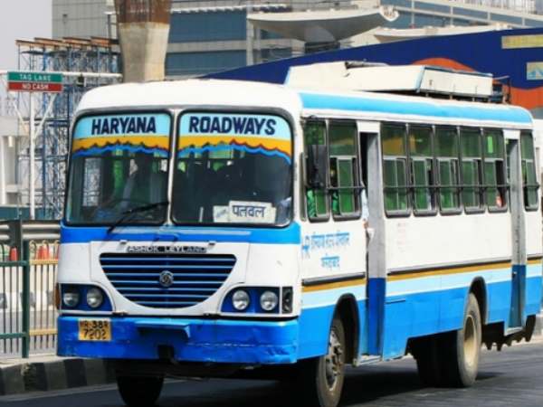 bus bus