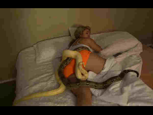 Man throws snakes on sleeping girlfriend Man throws snakes on sleeping girlfriend