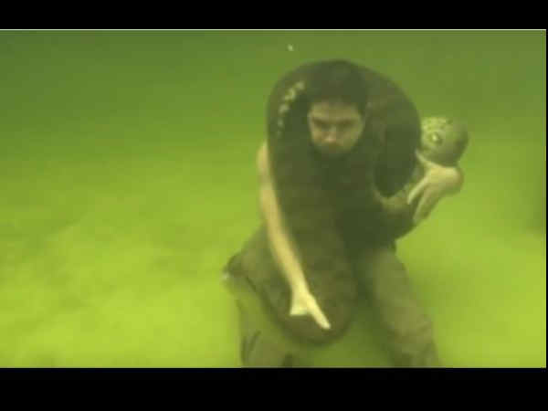 Watch: Man Swims With a Deadly Anaconda Watch: Man Swims With a Deadly Anaconda
