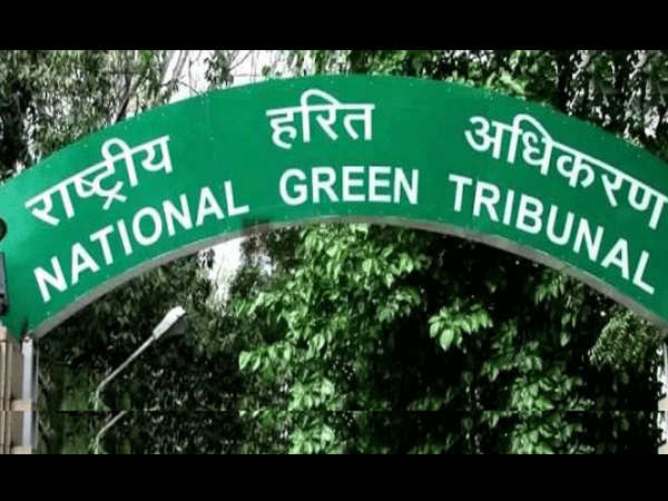 NGT directed to ban use of disposable plastic in Delhi-NCR from Jan 1, 2017 NGT directed to ban use of disposable plastic in Delhi-NCR from Jan 1, 2017