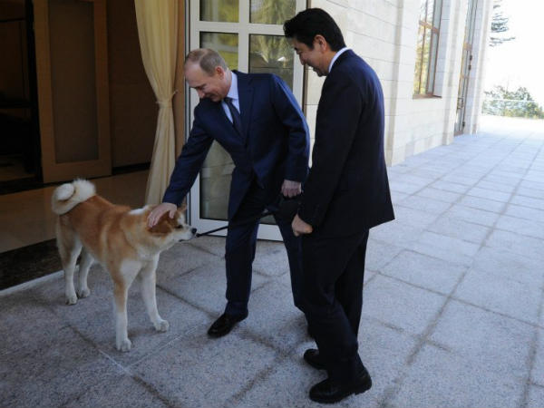 putin-abe-dog-gift putin-abe-dog-gift