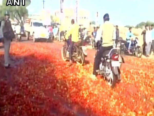 किसानों ने 1 रुपए से कम कीमत होने पर सड़क पर फेंक दिए 70 ट्रक टमाटर, लाल हो गई पूरी रोड किसानों ने 1 रुपए से कम कीमत होने पर सड़क पर फेंक दिए 70 ट्रक टमाटर, लाल हो गई पूरी रोड