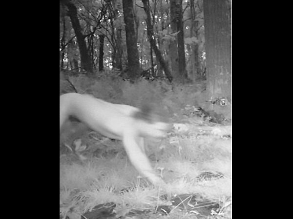 capture pictures of a naked man capture pictures of a naked man