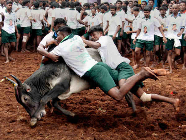 क्यों लगाई रोक?