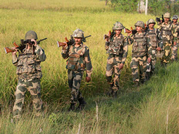 किसकी कितनी कैलोरी