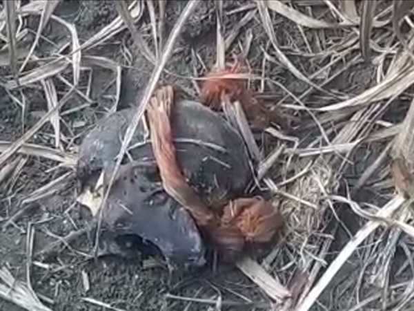 शाहजहांपुर: घर के पास खेत की खुदाई में मिला लापता बेटे का नरकंकाल शाहजहांपुर: घर के पास खेत की खुदाई में मिला लापता बेटे का नरकंकाल