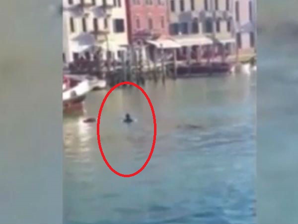 African migrant drowns in Venice Grand Canal as onlookers film, laugh and make racist comments African migrant drowns in Venice Grand Canal as onlookers film, laugh and make racist comments