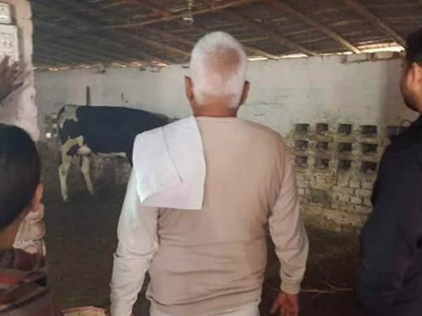 पटना: परिवार के साथ अपनी गायों का हाल-चाल लेने गौशाला पहुंचे लालू प्रसाद यादव पटना: परिवार के साथ अपनी गायों का हाल-चाल लेने गौशाला पहुंचे लालू प्रसाद यादव