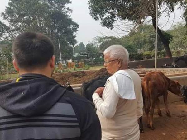 पटना: परिवार के साथ अपनी गायों का हाल-चाल लेने गौशाला पहुंचे लालू प्रसाद यादव पटना: परिवार के साथ अपनी गायों का हाल-चाल लेने गौशाला पहुंचे लालू प्रसाद यादव