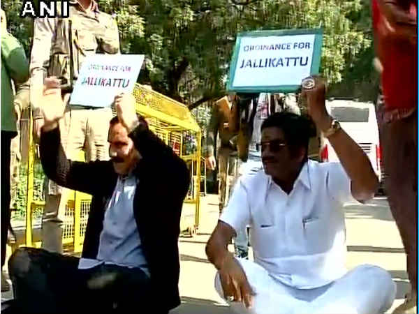 जल्लीकट्टू पर बैन हटाने के लिए पीएम आवास के बाहर धरने पर बैठे अंबुमणि रामदास जल्लीकट्टू पर बैन हटाने के लिए पीएम आवास के बाहर धरने पर बैठे अंबुमणि रामदास