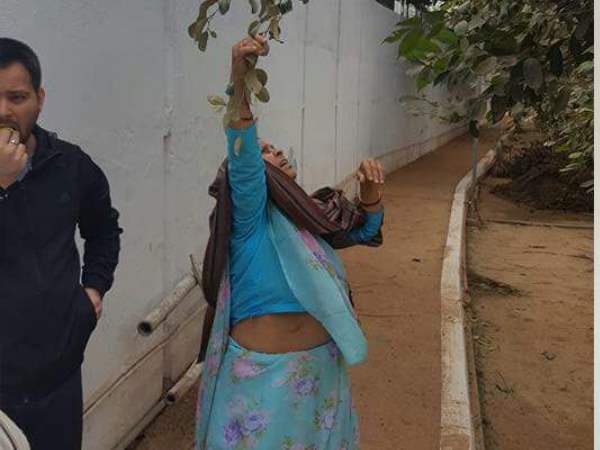 जब बेटे तेजस्वी संग बेर तोड़ती दिखीं राबड़ी देवी, देखिए तस्वीरें जब बेटे तेजस्वी संग बेर तोड़ती दिखीं राबड़ी देवी, देखिए तस्वीरें