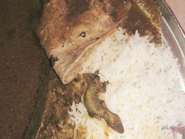 Mumbai: Lizard found in lunch at govt hostel for backward classes Mumbai: Lizard found in lunch at govt hostel for backward classes
