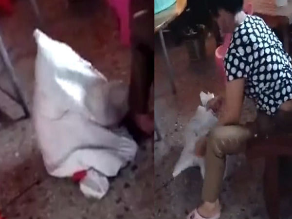 Girl is stuffed inside a sack before being kicked and whipped by her grandmother and her aunt who want to teach her a lesson Girl is stuffed inside a sack before being kicked and whipped by her grandmother and her aunt who want to teach her a lesson