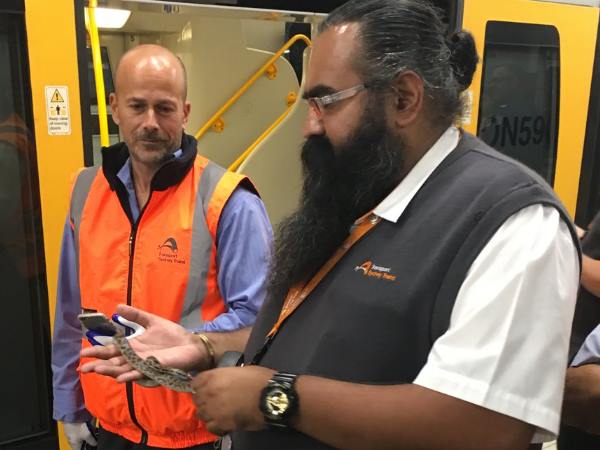 Snake on a train: Python takes joyride on Sydney train Snake on a train: Python takes joyride on Sydney train