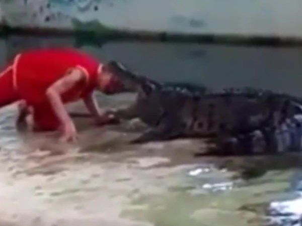 Crocodile Tries To Bite Man Head Off, Watch What Happens Next. Crocodile Tries To Bite Man Head Off, Watch What Happens Next.