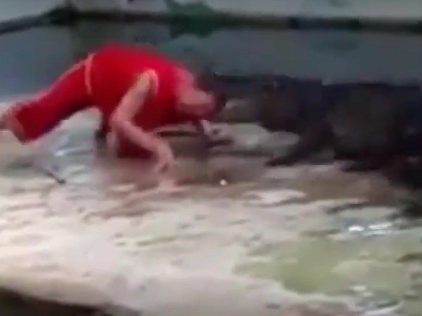 VIDEO: जब मगरमच्छ के मुंह में इस शख्स ने दिया अपना सिर... VIDEO: जब मगरमच्छ के मुंह में इस शख्स ने दिया अपना सिर...