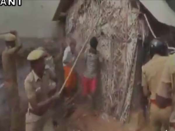 tamilnadu, modi cow, cow protection, तमिलनाडु, गाय, गौरक्षक tamilnadu, modi cow, cow protection, तमिलनाडु, गाय, गौरक्षक