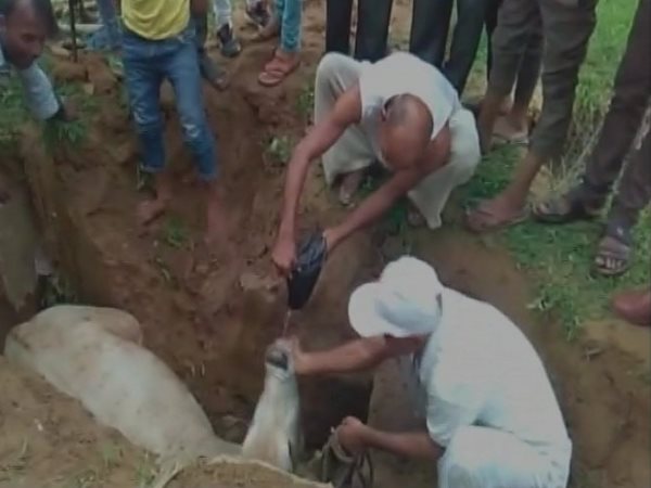 रस्सियों की मदद से निकाला