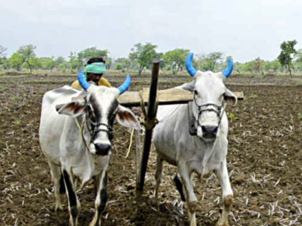 कर्ज के कुचक्र में किसान