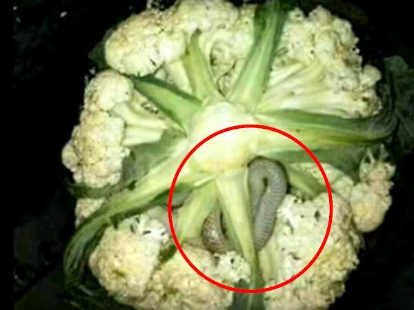 नहीं था आफत का अंदाजा