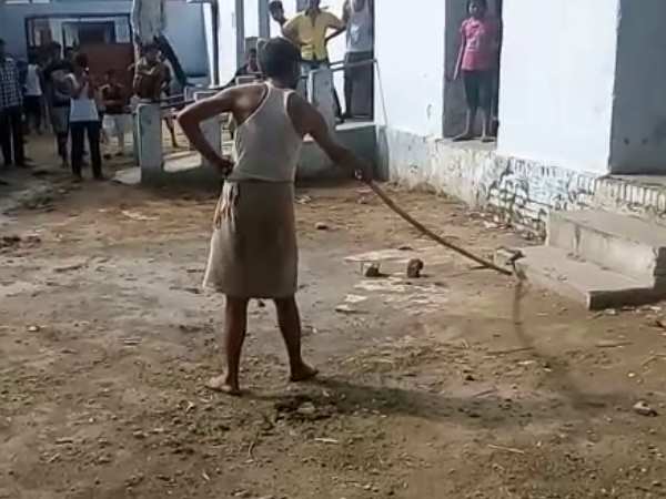 VIDEO: यूपी के सरकारी स्कूल में बच्चों का हुआ कोबरा से सामना VIDEO: यूपी के सरकारी स्कूल में बच्चों का हुआ कोबरा से सामना