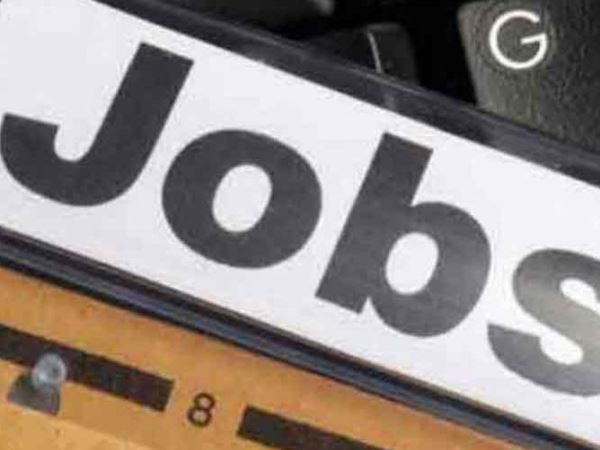 jobs oppurtunity 14192 posts in ibps jobs oppurtunity 14192 posts in ibps