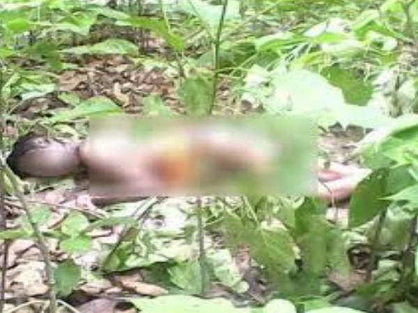 मामा के घर रहने वाली छात्रा की जंगल में हत्या और उससे पहले बारी-बारी हैवानियत मामा के घर रहने वाली छात्रा की जंगल में हत्या और उससे पहले बारी-बारी हैवानियत